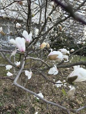 Дом W-7449012, Садовая 6-я линия, Круглик - Фото 3