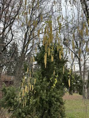 Дом W-7449012, Садовая 6-я линия, Круглик - Фото 2