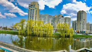Квартира W-7404262, Рудницкого Степана (Вильямса Академика), 19/14, Киев - Фото 14