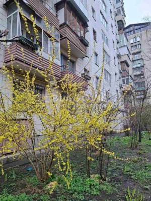 Квартира W-7423525, Коновальця Євгена (Щорса), 15, Київ - Фото 10