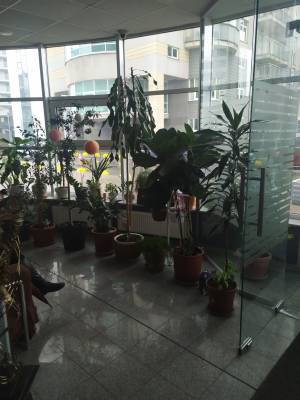 Квартира W-7352660, Зверинецкая, 59, Киев - Фото 5