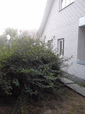 Будинок W-7369574, Бушеве - Фото 1