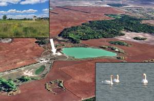 Земельна ділянка W-7439926, Дударків - Фото 1