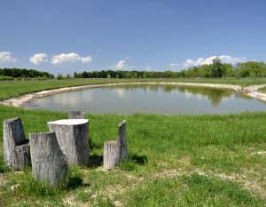 Земельна ділянка W-7439926, Дударків - Фото 3