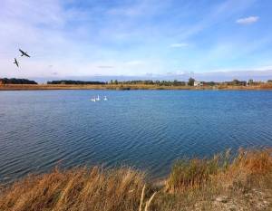 Земельна ділянка W-7439926, Дударків - Фото 2