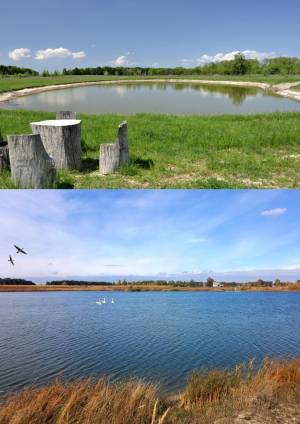 Земельна ділянка W-7439927, Дударків - Фото 5