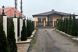 Будинок W-7439942, Костянтинівська, Щасливе - Фото 1