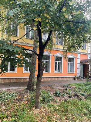  Окремо розташована будівля, W-7412707, Липинського В'ячеслава (Чапаєва), 9б, Київ - Фото 3