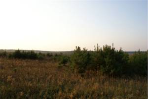 Земельна ділянка W-7391272, Мостище - Фото 7