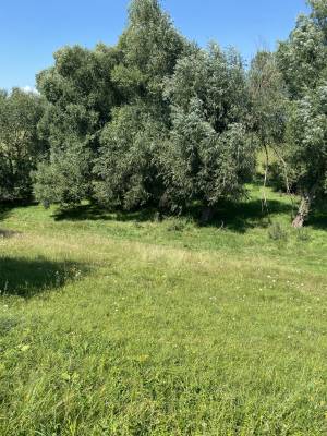 Земельна ділянка W-7449521, Ватутіна, Степок - Фото 5