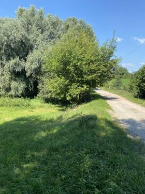Земельна ділянка W-7449521, Ватутіна, Степок - Фото 10