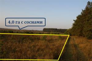 Земельный участок W-7449525, Полевая, Мостище - Фото 2
