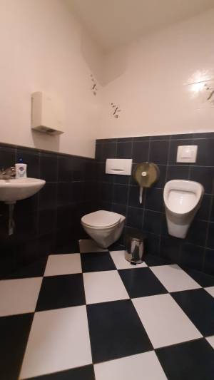  Отдельно стоящее здание, W-7320067, Дмитриевская, 1, Киев - Фото 12