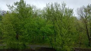 Квартира W-7341659, Новоукраинская, 6, Киев - Фото 9