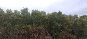 Квартира W-7403204, Метробудівська, 12, Київ - Фото 15