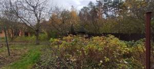 Будинок W-7449052, Лісова, 38, Тарасівка (Києво-Святошинський) - Фото 7