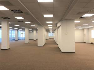  Окремо розташована будівля, W-7436419, Гришка, Київ - Фото 8