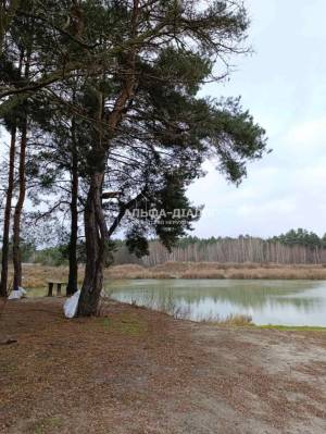 Земельный участок W-7425195, Ковалин - Фото 9