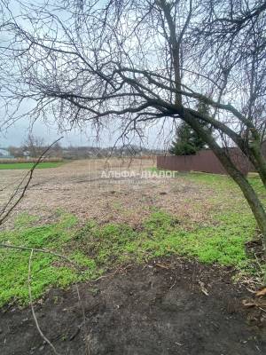 Земельный участок W-7425195, Ковалин - Фото 3