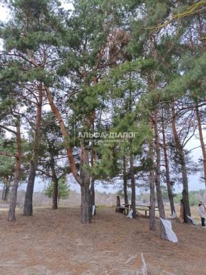 Земельный участок W-7425195, Ковалин - Фото 8