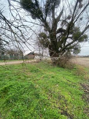 Земельный участок W-7425195, Ковалин - Фото 5