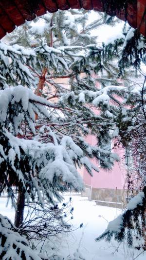 Будинок W-7414801, Хотів - Фото 2