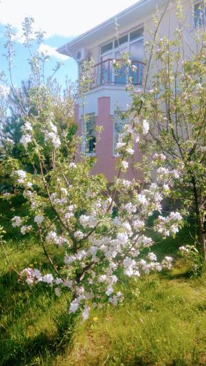 Будинок W-7414801, Хотів - Фото 3