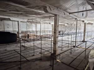  Майновий комплекс, W-7448274, Шевченка, Малютянка - Фото 5