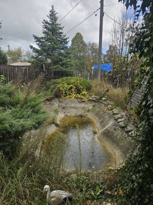  Майновий комплекс, W-7448274, Шевченка, Малютянка - Фото 14