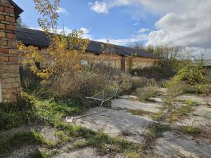  Майновий комплекс, W-7448274, Шевченка, Малютянка - Фото 2