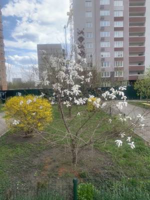 Квартира W-7446807, Софии Русовой, 7г, Киев - Фото 2