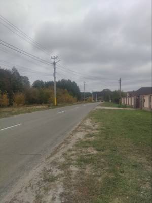 Земельный участок W-7364975, Деснянская, Зазимье - Фото 7