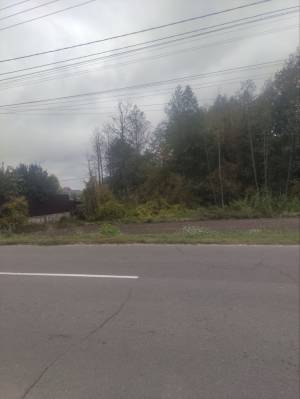 Земельный участок W-7364975, Деснянская, Зазимье - Фото 5
