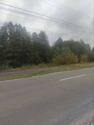 Земельный участок W-7364975, Деснянская, Зазимье - Фото 6