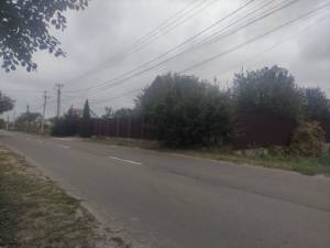 Земельный участок W-7364975, Деснянская, Зазимье - Фото 9