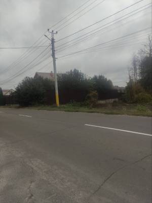 Земельный участок W-7364975, Деснянская, Зазимье - Фото 4