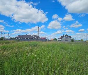 Земельный участок W-7426382, Новая, Княжичи (Броварской) - Фото 4