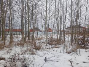 Земельна ділянка W-7438153, Княжичі (Броварський) - Фото 8