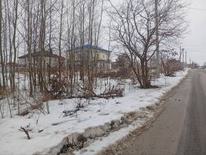 Земельна ділянка W-7438153, Княжичі (Броварський) - Фото 7