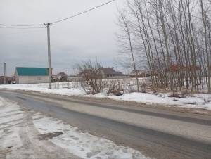 Земельна ділянка W-7438153, Княжичі (Броварський) - Фото 3