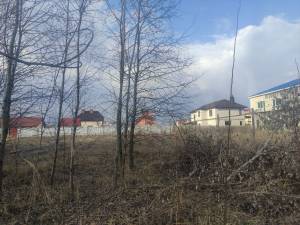 Земельный участок W-7438153, Княжичи (Броварской) - Фото 9