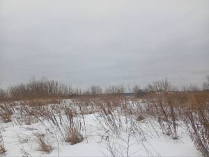 Земельна ділянка W-7438156, Княжичі (Броварський) - Фото 2