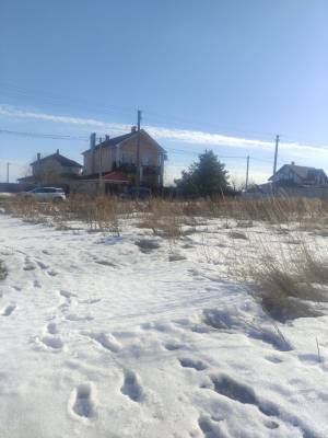 Земельный участок W-7439130, Княжичи (Броварской) - Фото 4