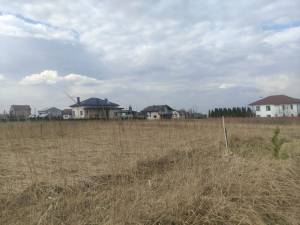 Земельна ділянка W-7439132, Княжичі (Броварський) - Фото 6