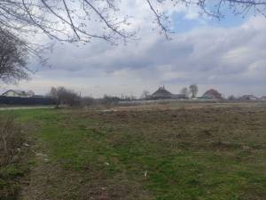 Земельна ділянка W-7447815, Княжичі (Броварський) - Фото 5