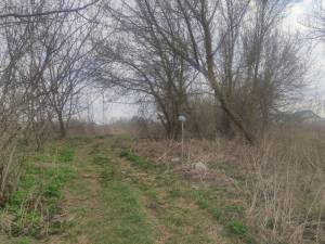 Земельна ділянка W-7447815, Княжичі (Броварський) - Фото 6