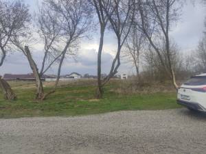 Земельна ділянка W-7447815, Княжичі (Броварський) - Фото 2