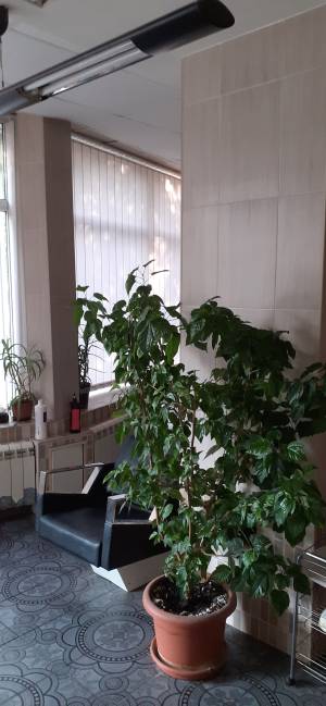  Торгово-офісне приміщення, W-7330204, Попова, 12, Київ - Фото 2
