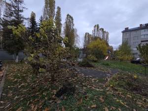 Квартира W-7419013, Ботаническая, 19, Глеваха - Фото 11