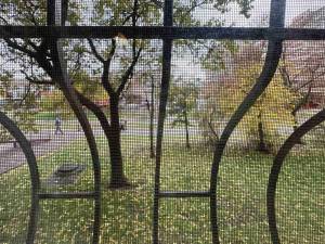 Квартира W-7419199, Закревского Николая, 31, Киев - Фото 2